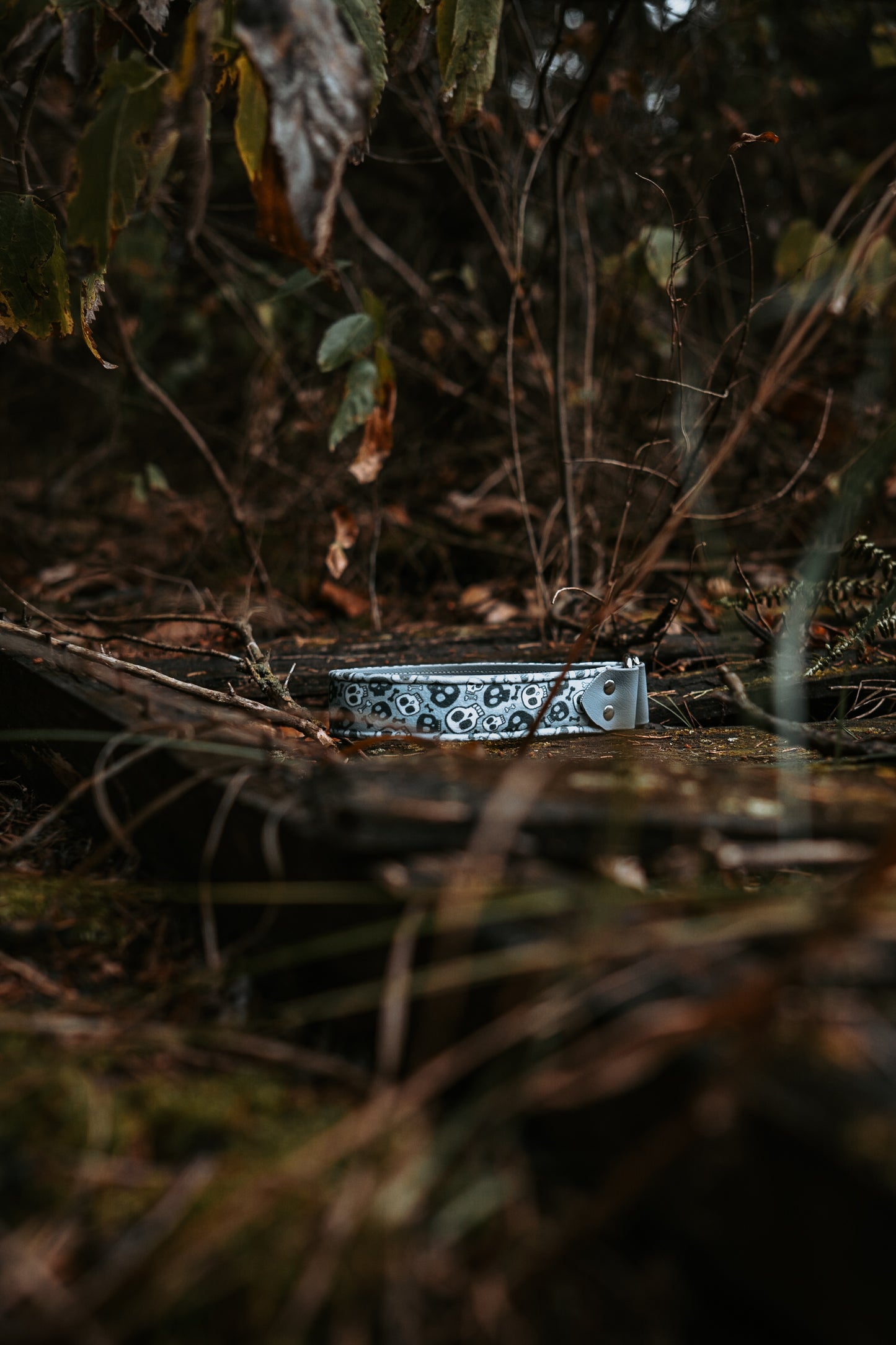 Skeleton Crew Velvet Collar
