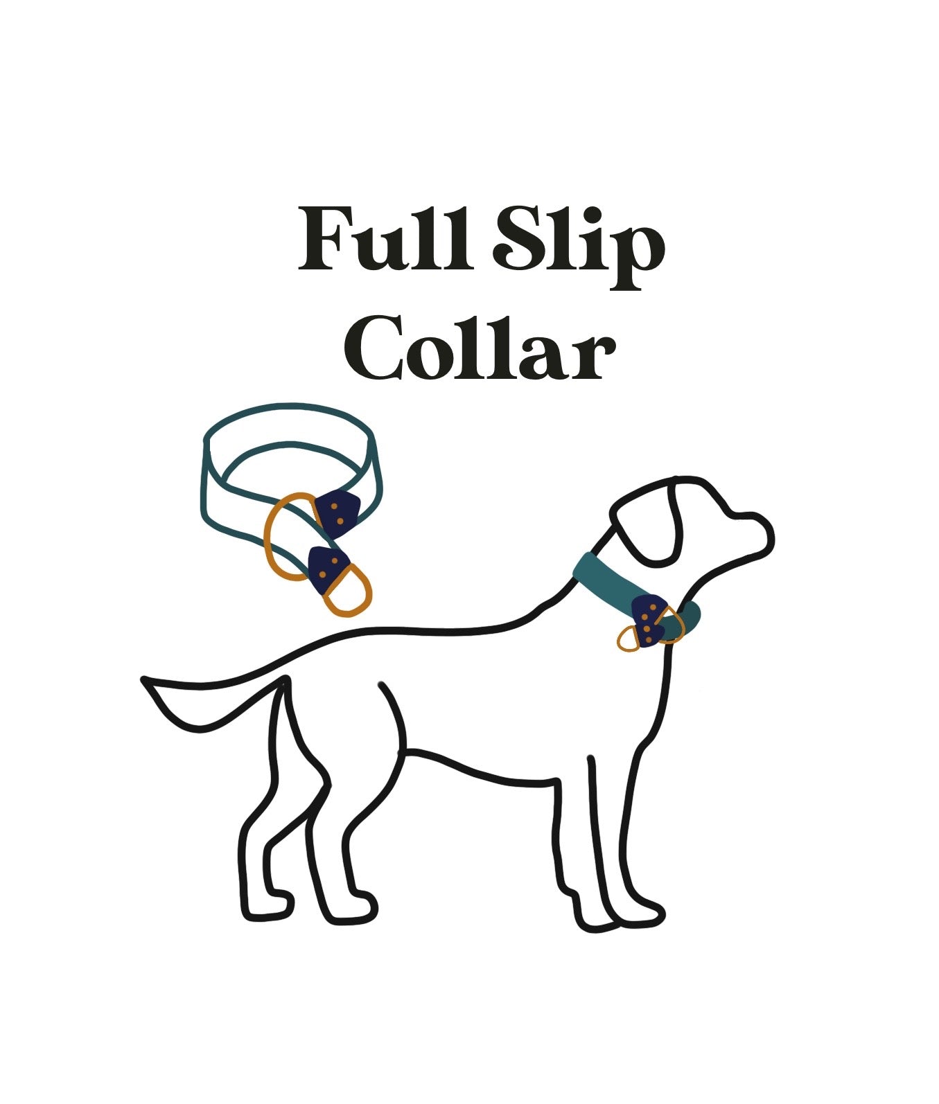Rancho Aqua Pendleton Collar
