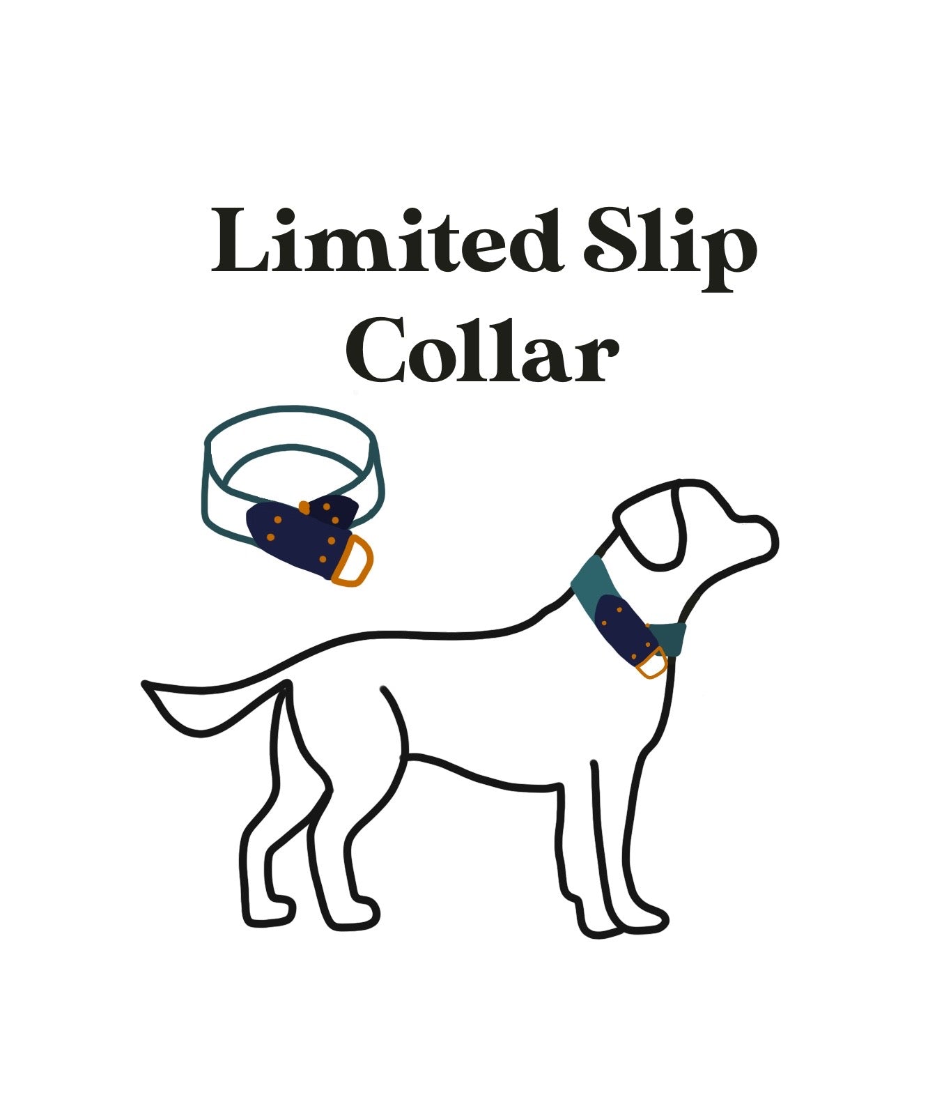 Rancho Aqua Pendleton Collar