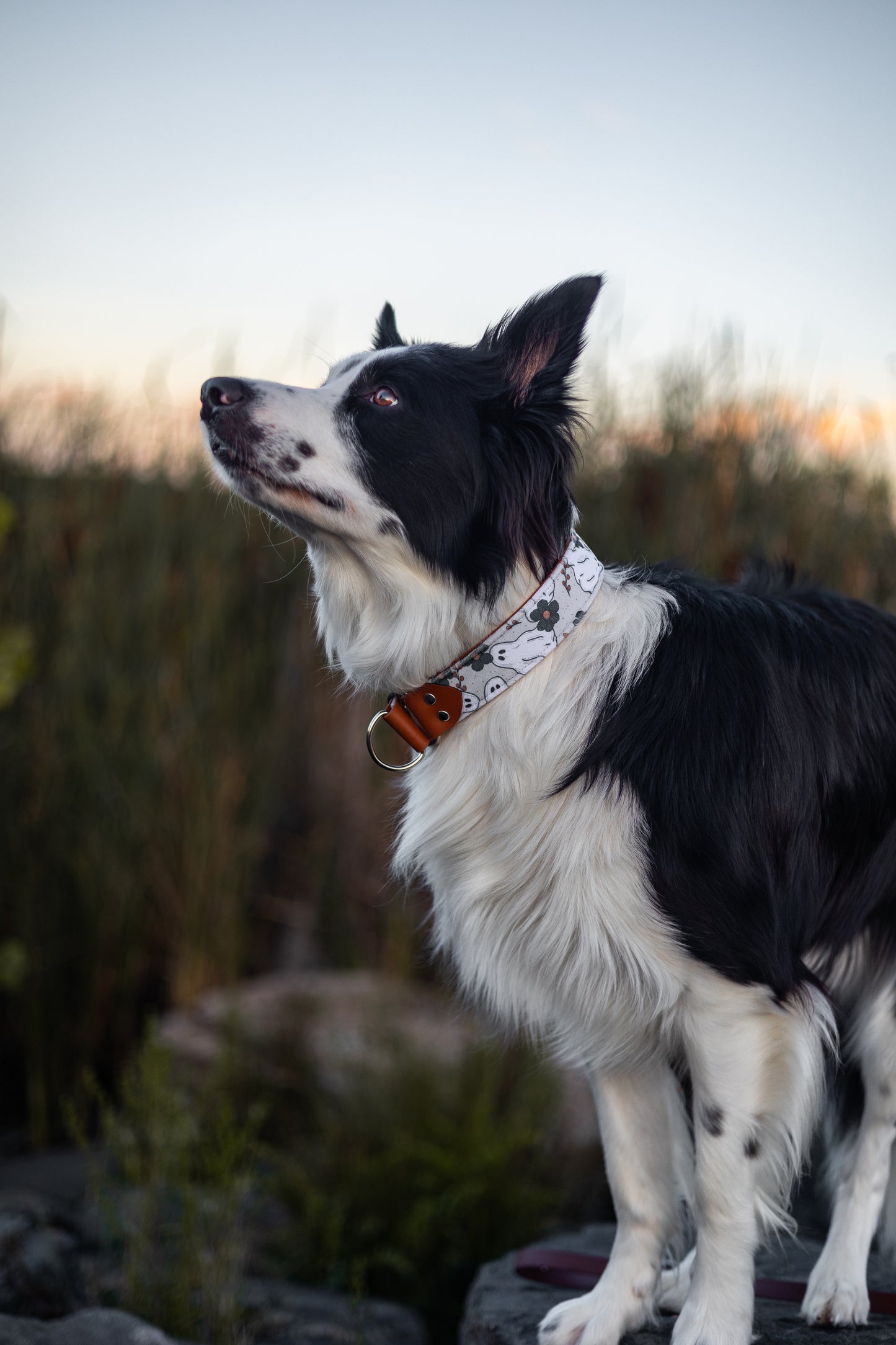 Ghosties Velvet Collar