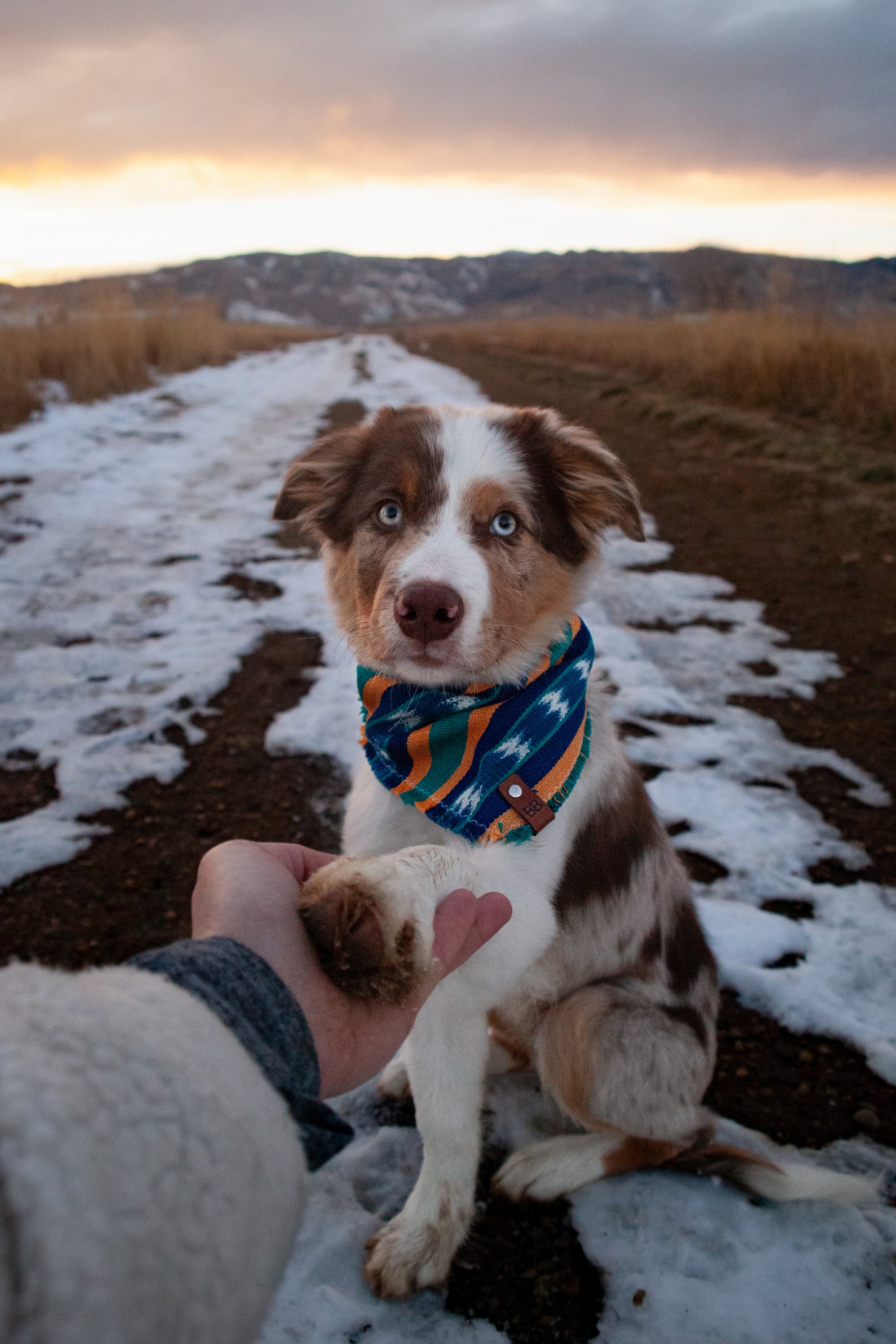 Mystery Bandana