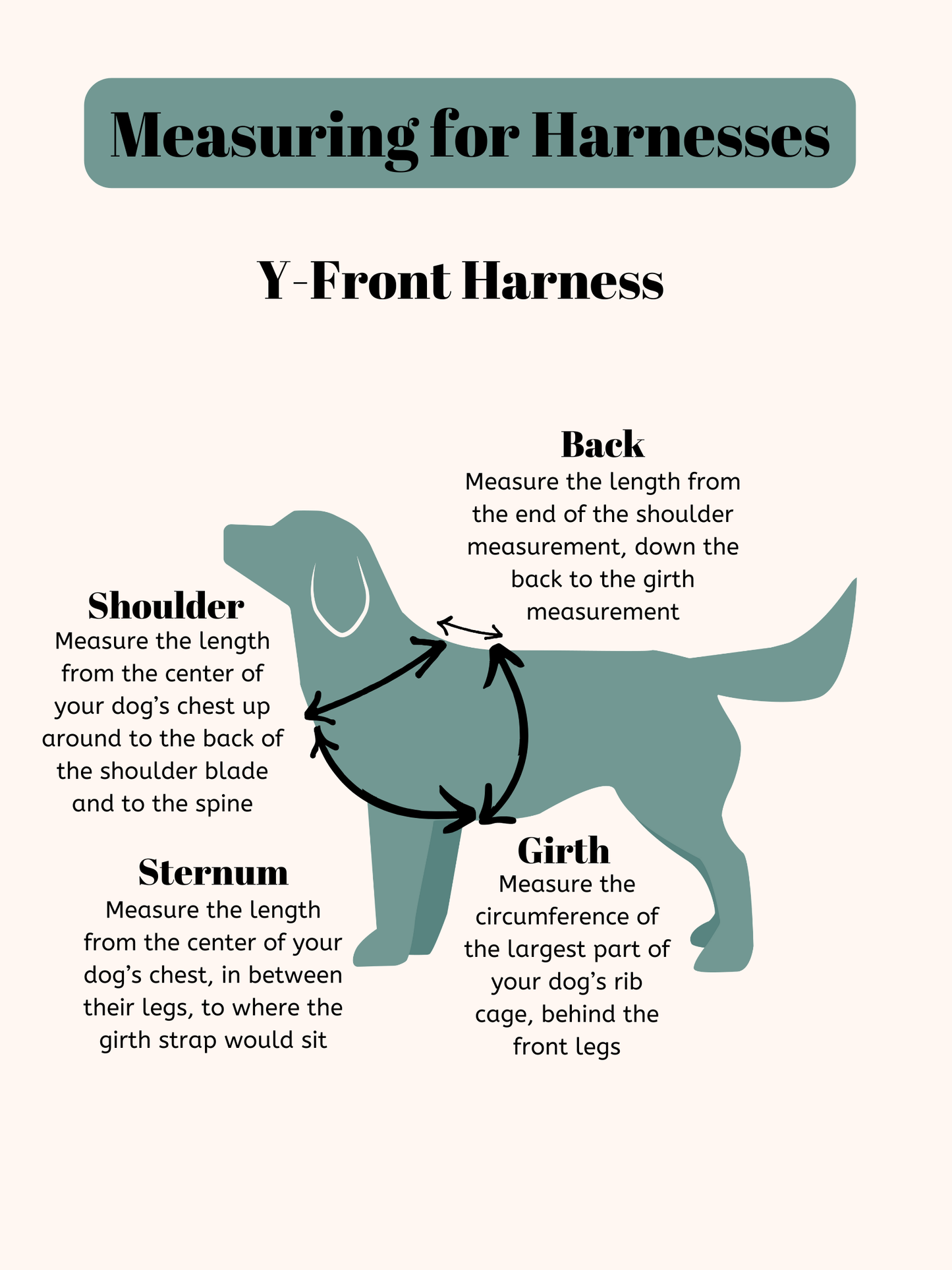 Adventure Harness and Leash Bundle