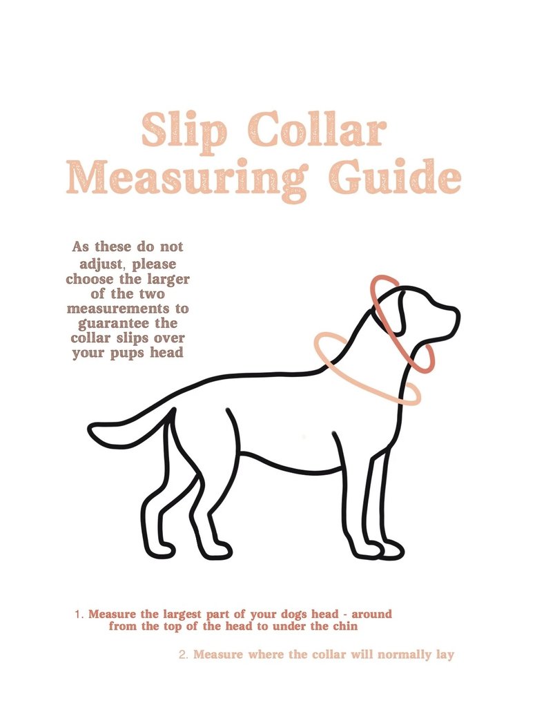 Quest Collar