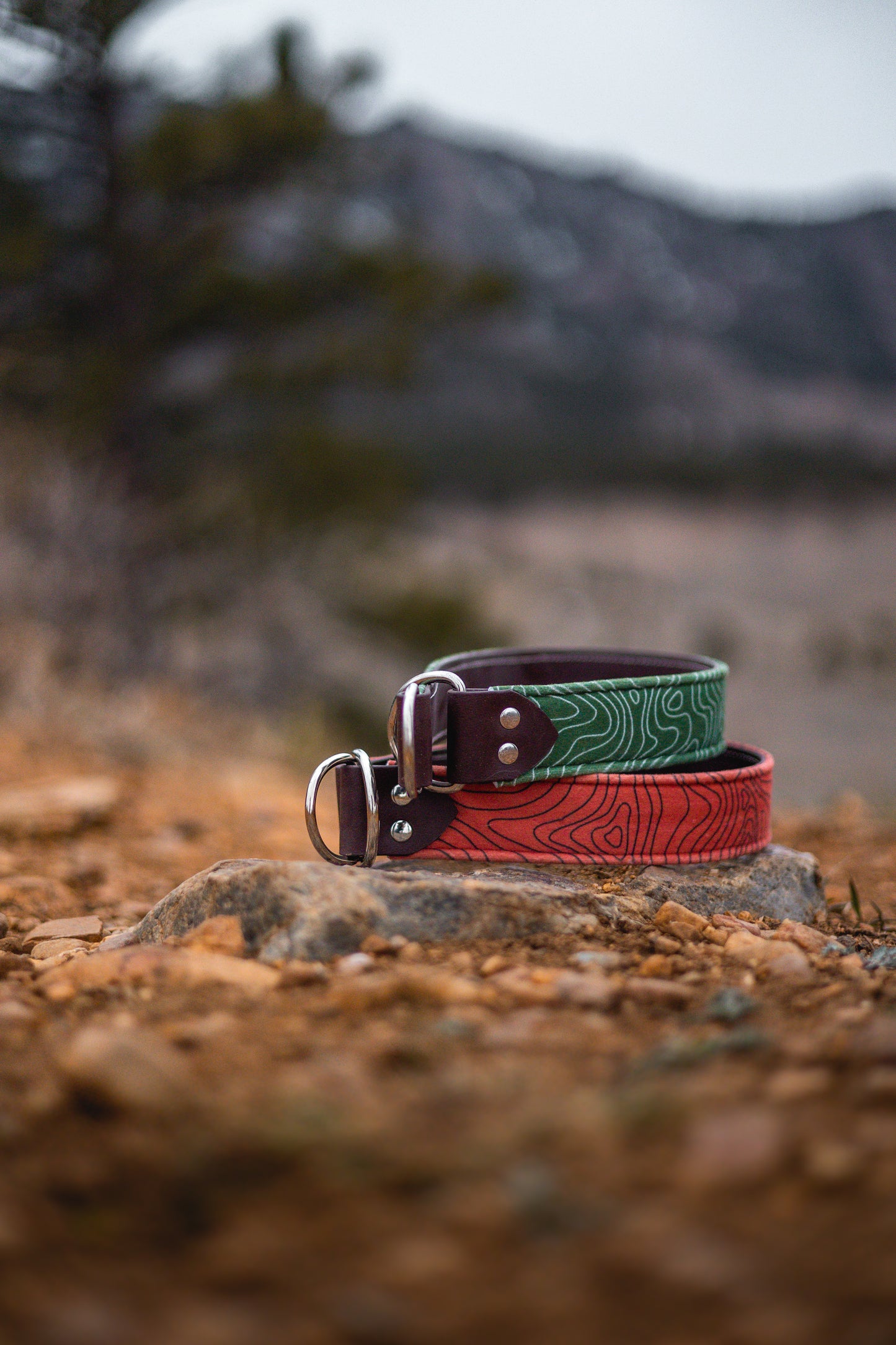 Topography Velvet Collar