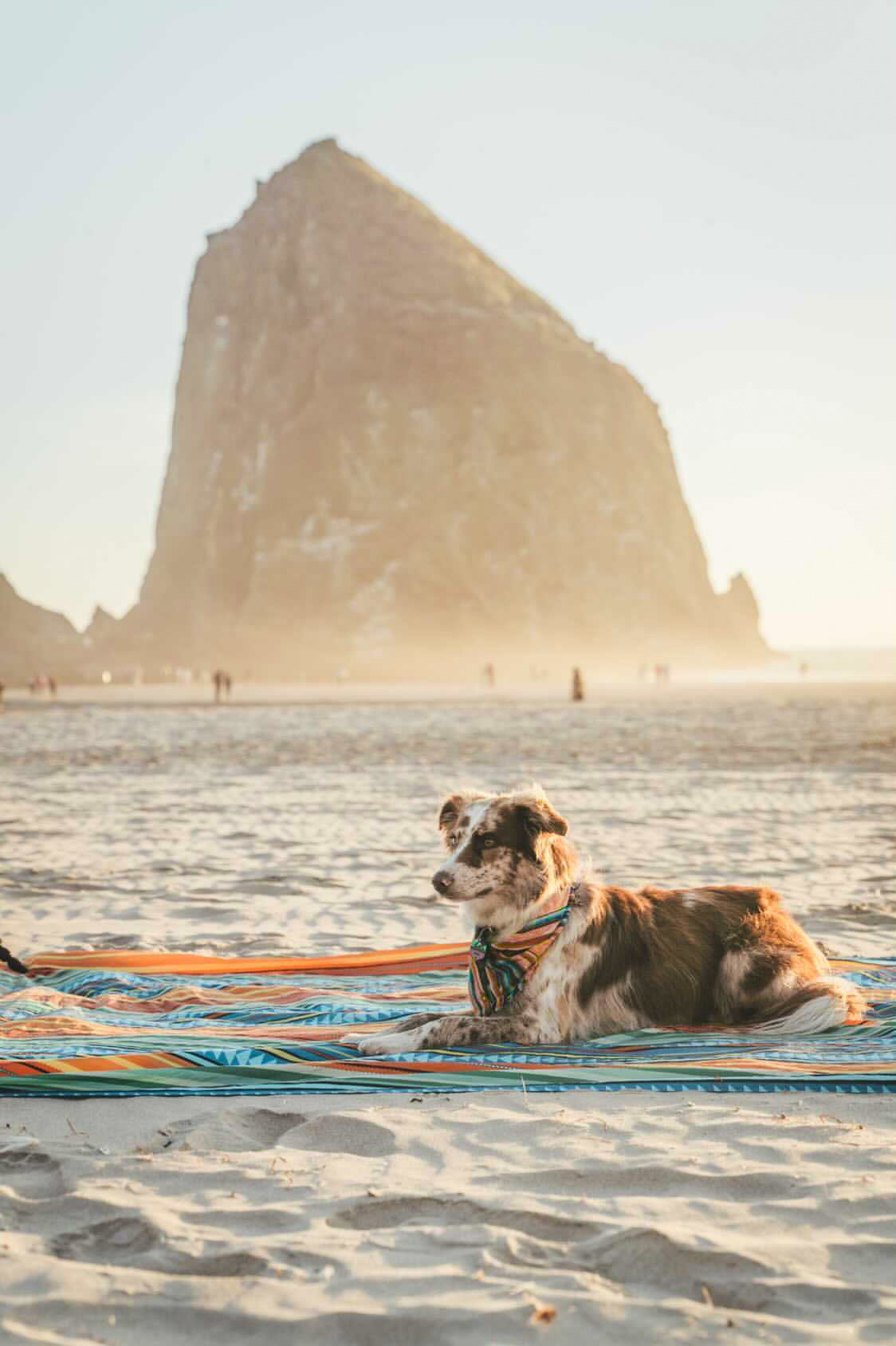 Alpenglow Bandana