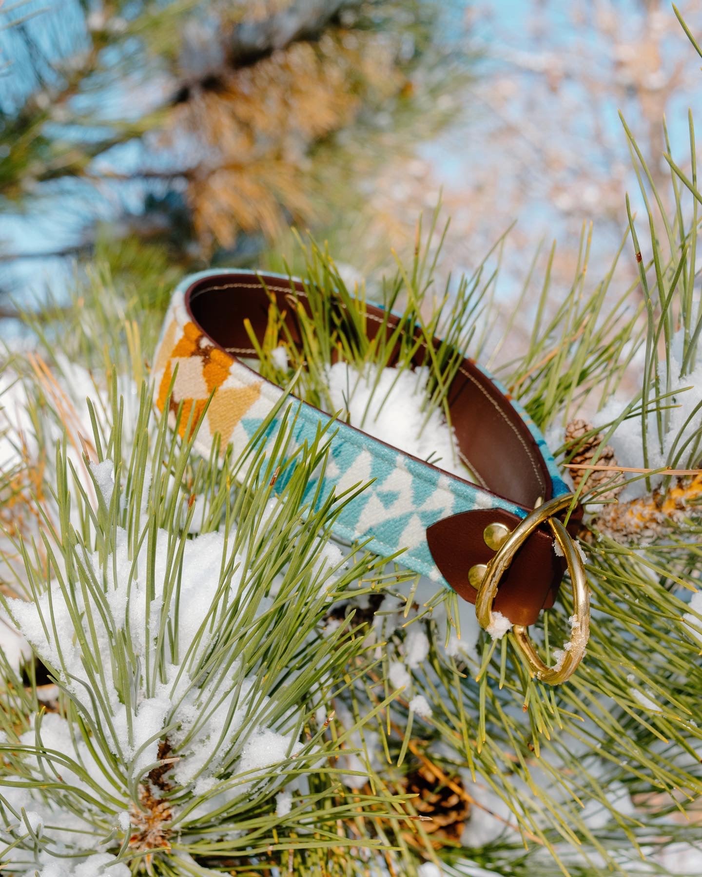 Rancho Aqua Pendleton Collar