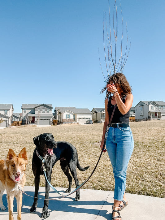 Hands Free No Tangle Multi-Pup Leash