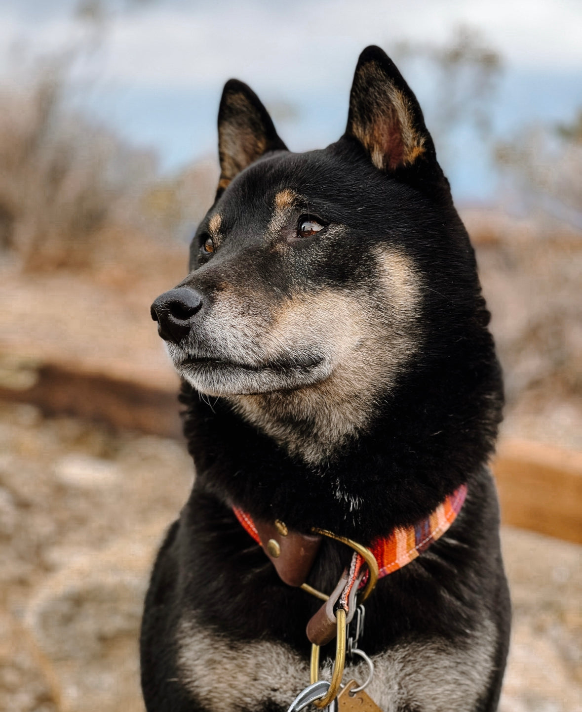 Mystery Guatemalan Collar
