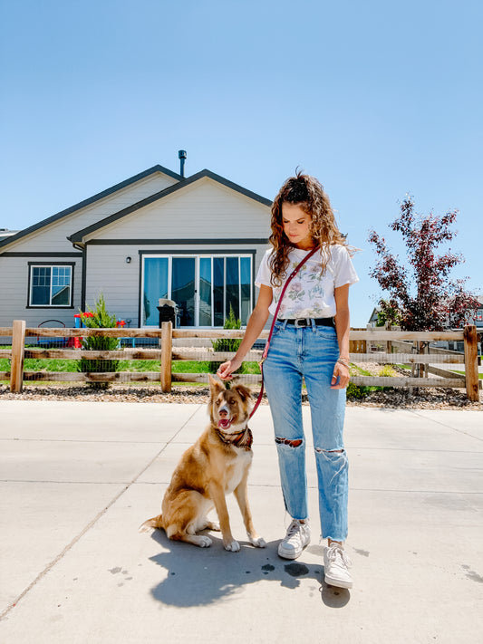 Double Ended Adventure Leash