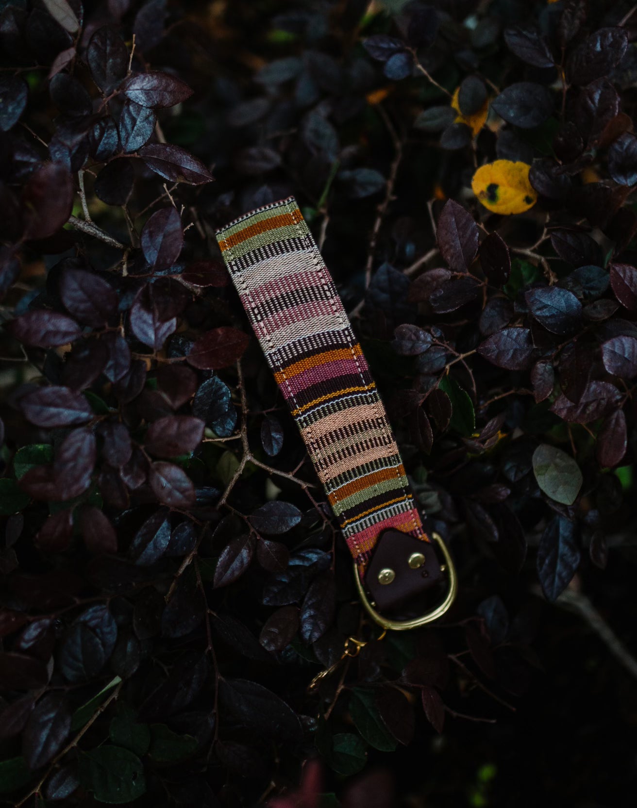 Guatemalan Collars
