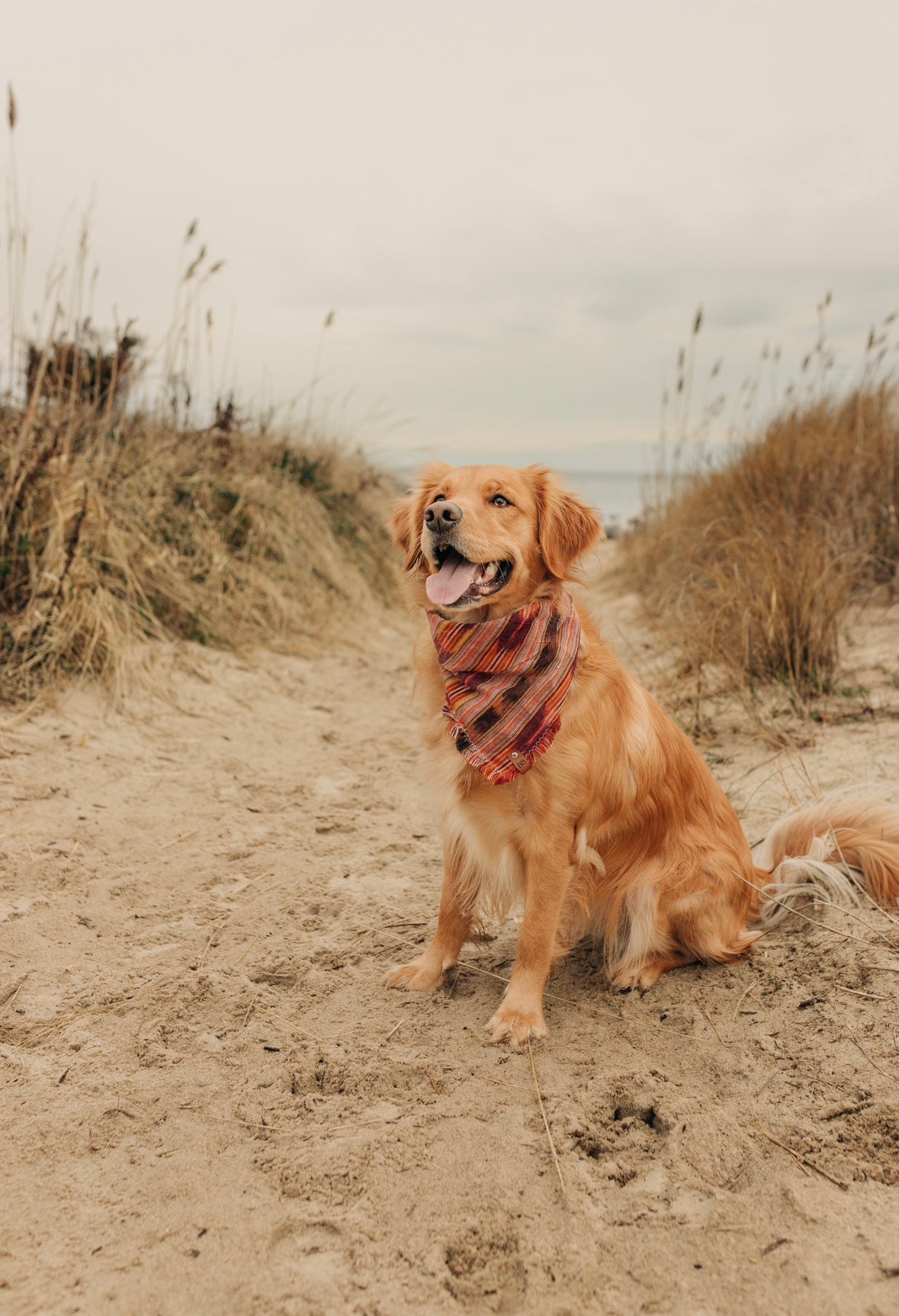 Frostine Bandana