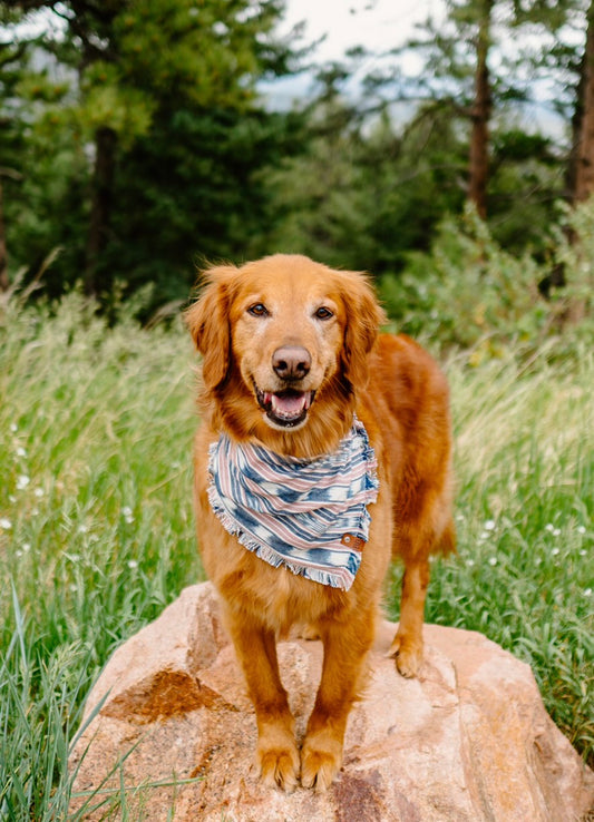 Sky Pond Bandana