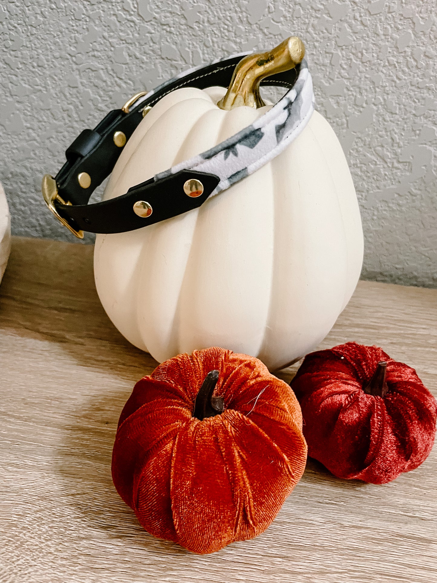 Bats Velvet Collar