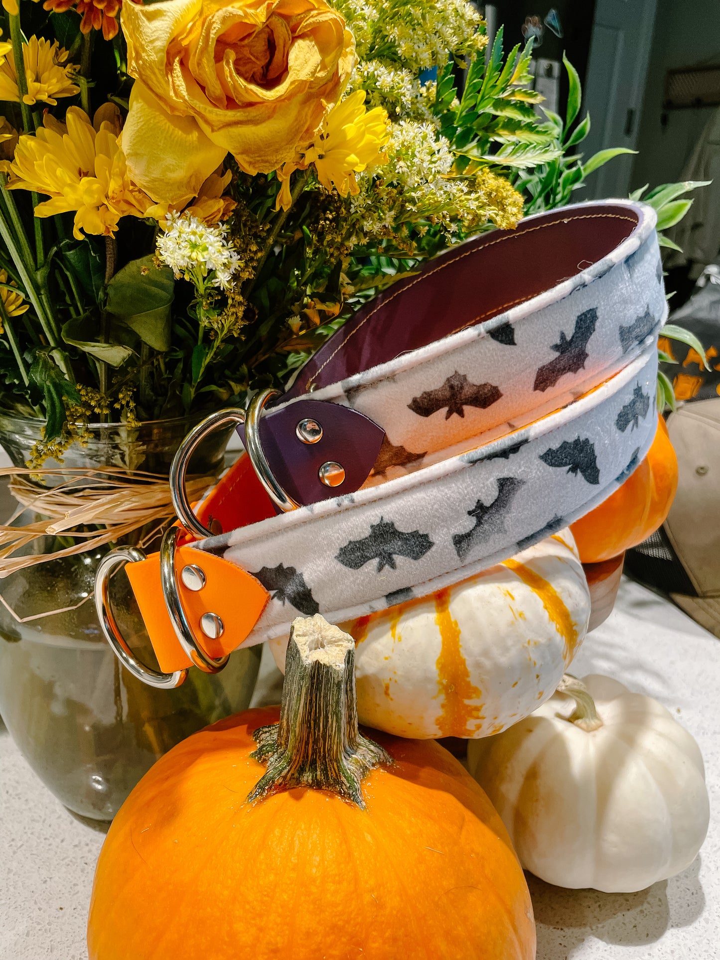 Bats Velvet Collar