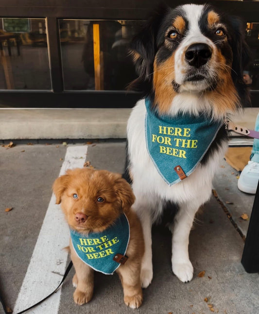 Here for the Beer Bandana
