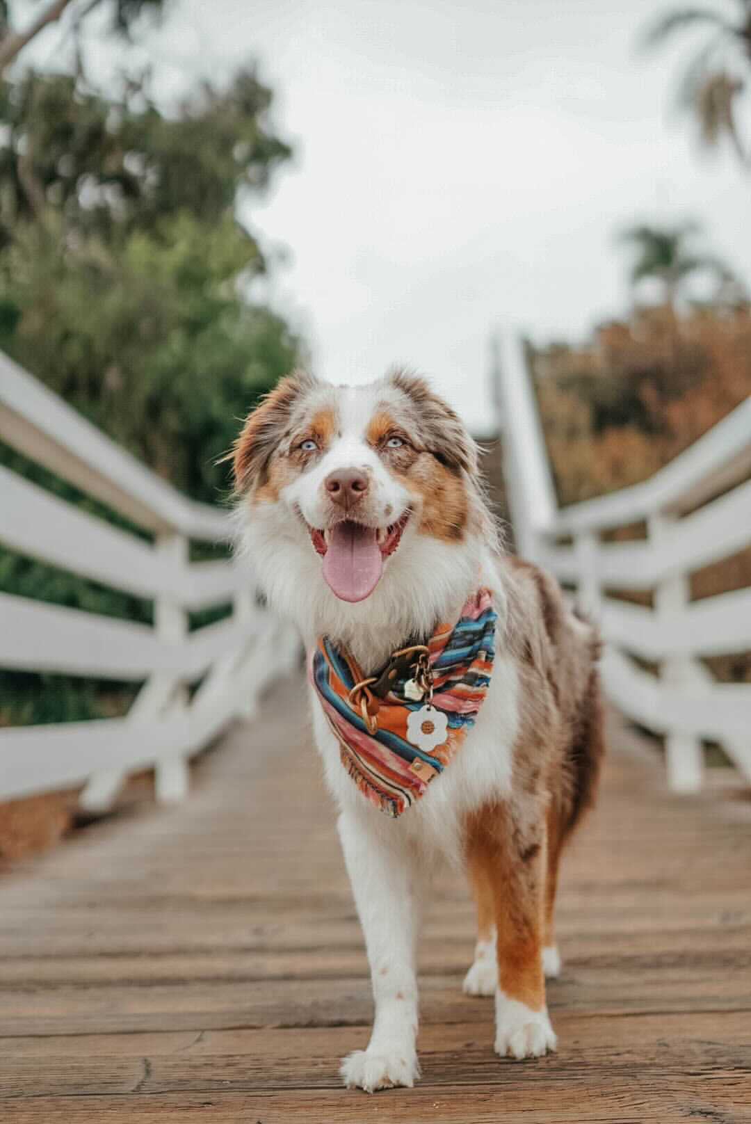 Alpenglow Bandana