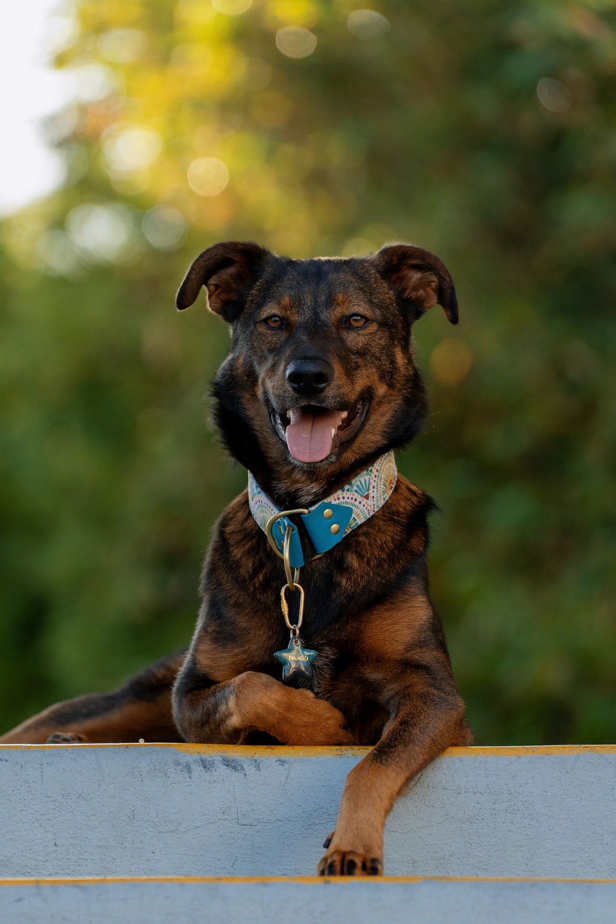 Prisma Velvet Collar