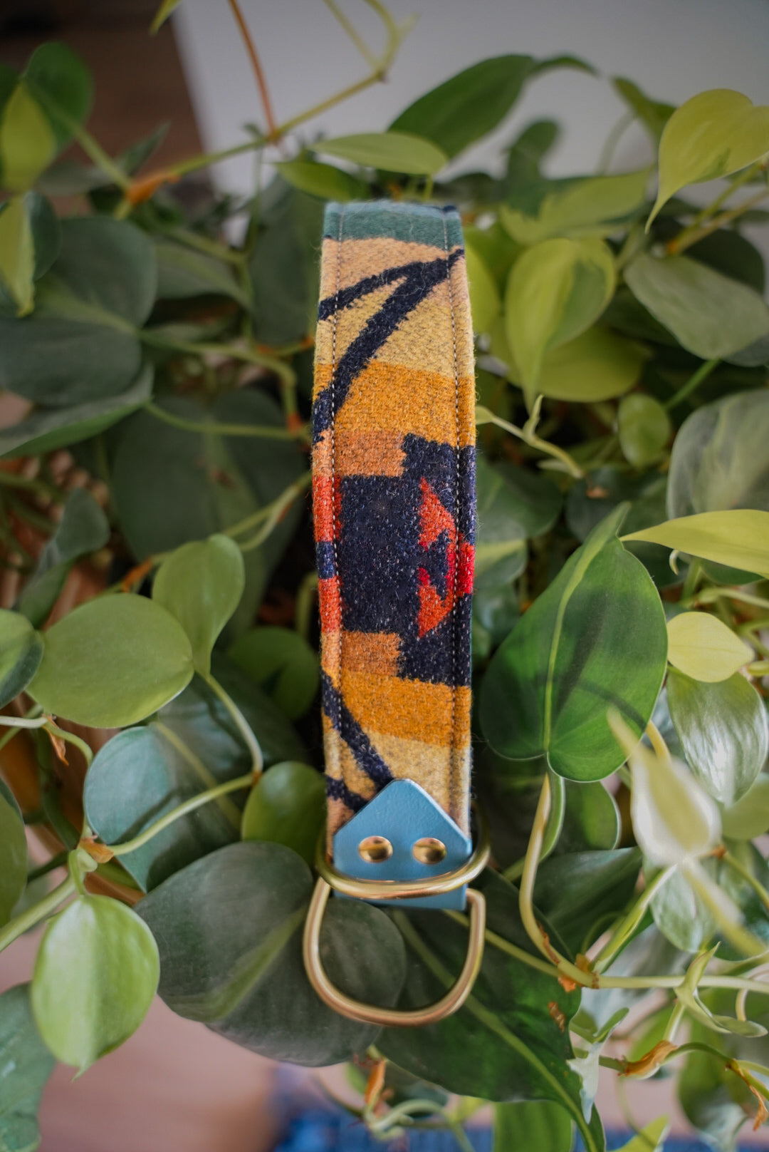 Pride Pendleton Collar