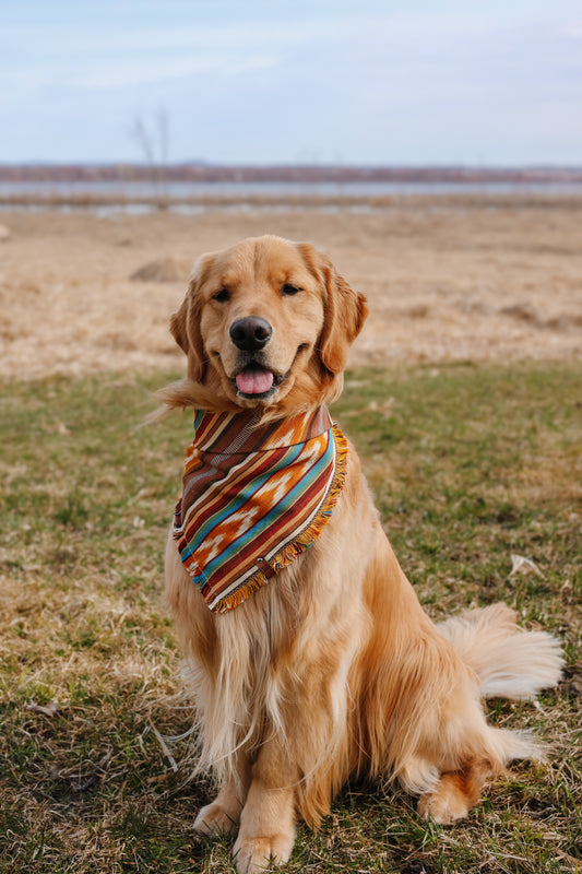 Wild West Bandana