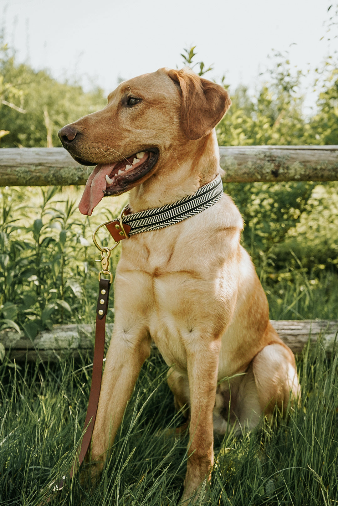 Ebony Collar