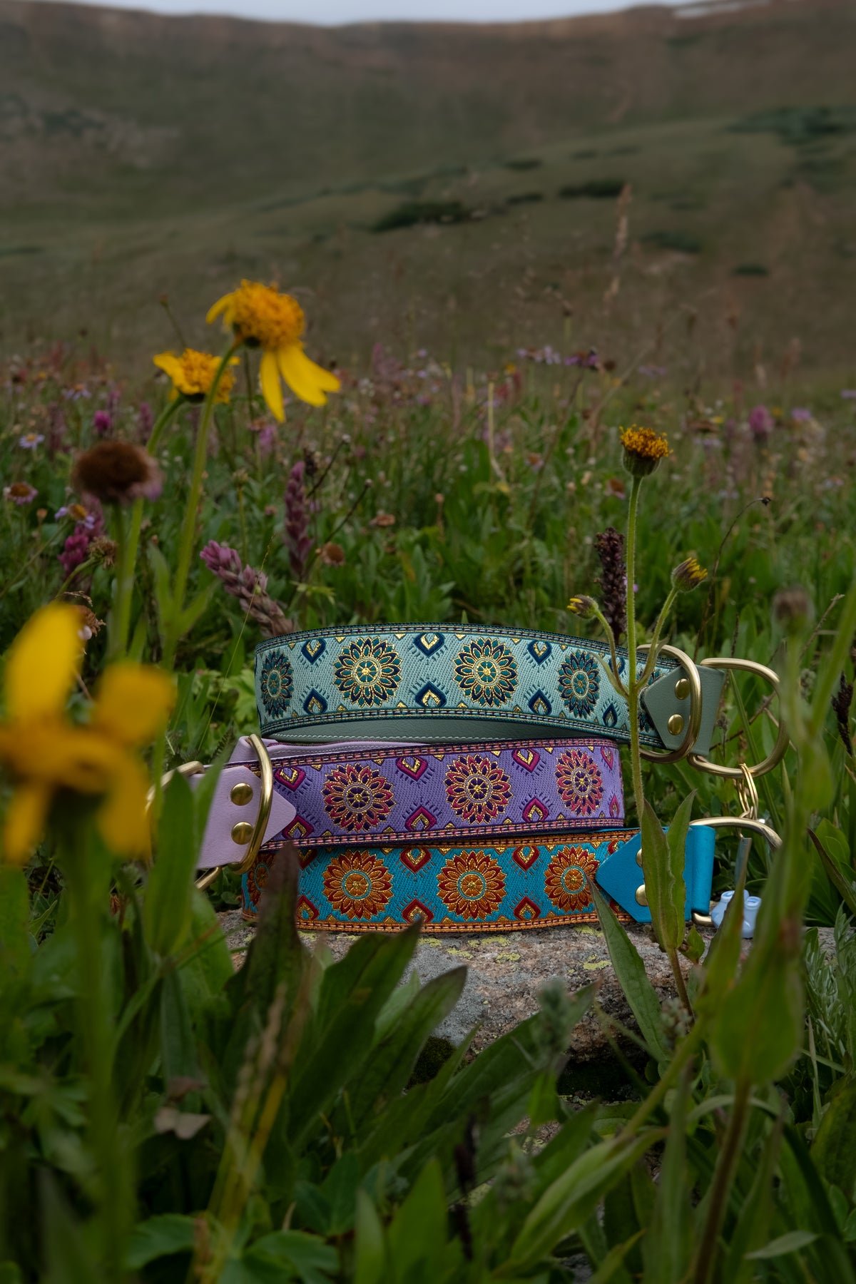 Nazara Collars