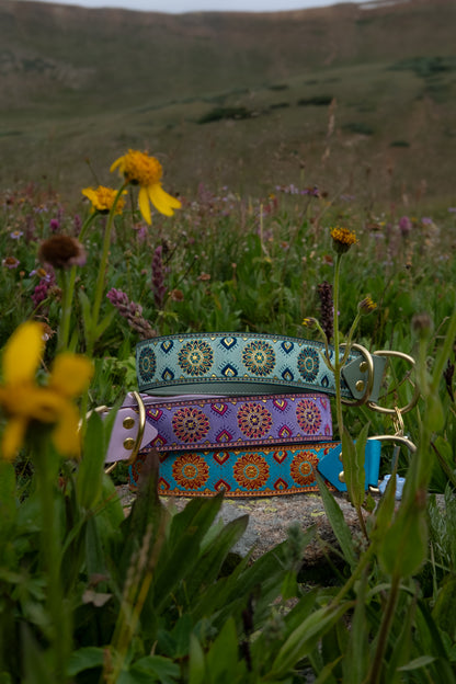 Nazara Collars