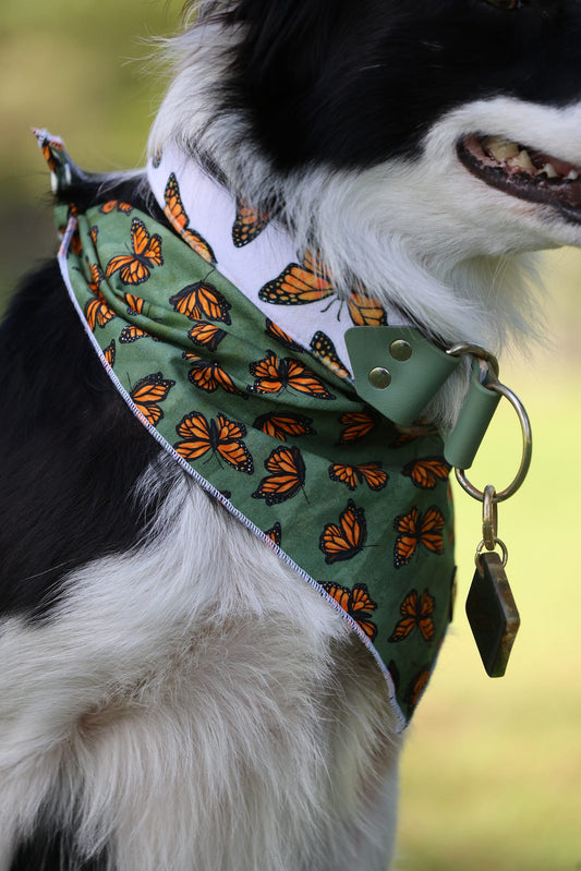 Monarch Bandana