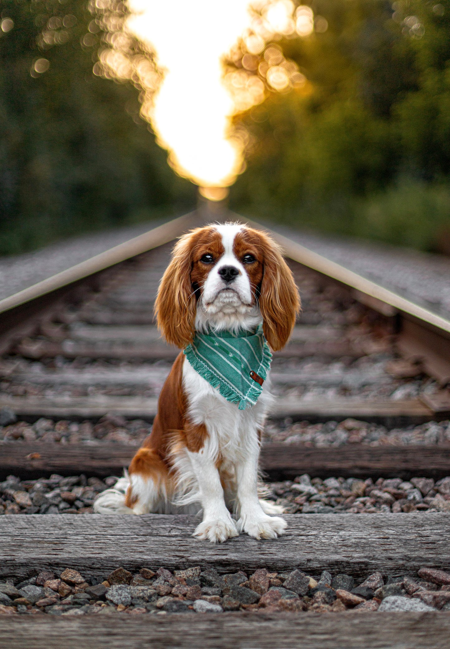 Minty Sage Bandana