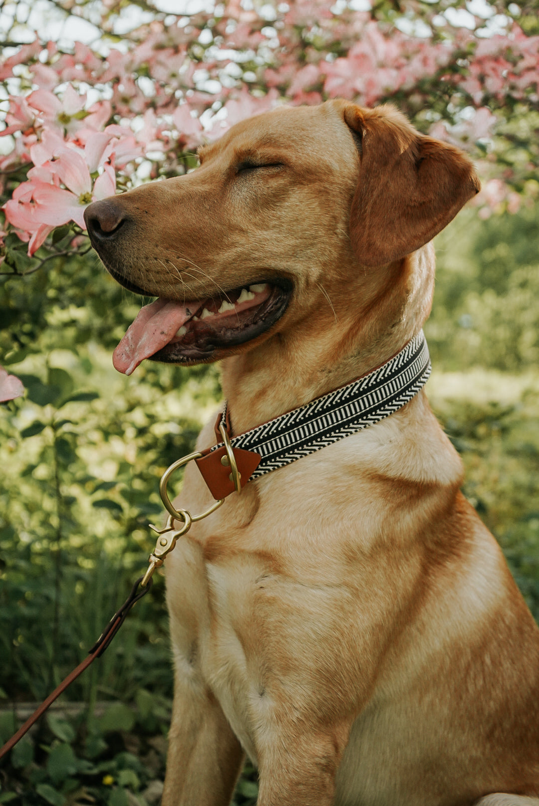 Ebony Collar