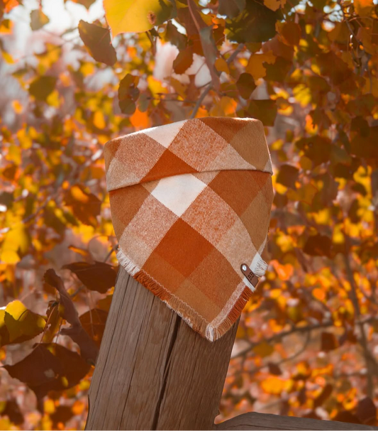 Pumpkin Spice Bandana