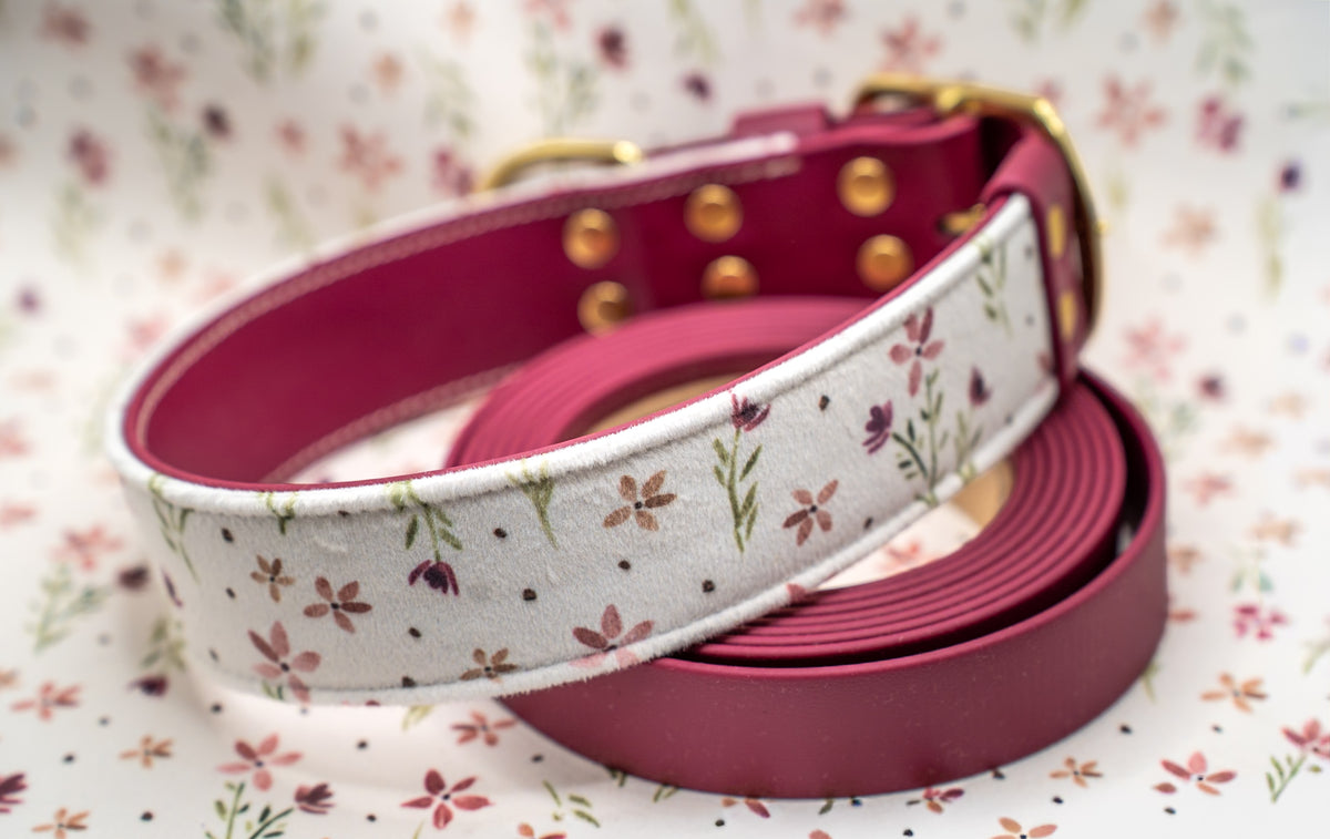Merlot Velvet Collar