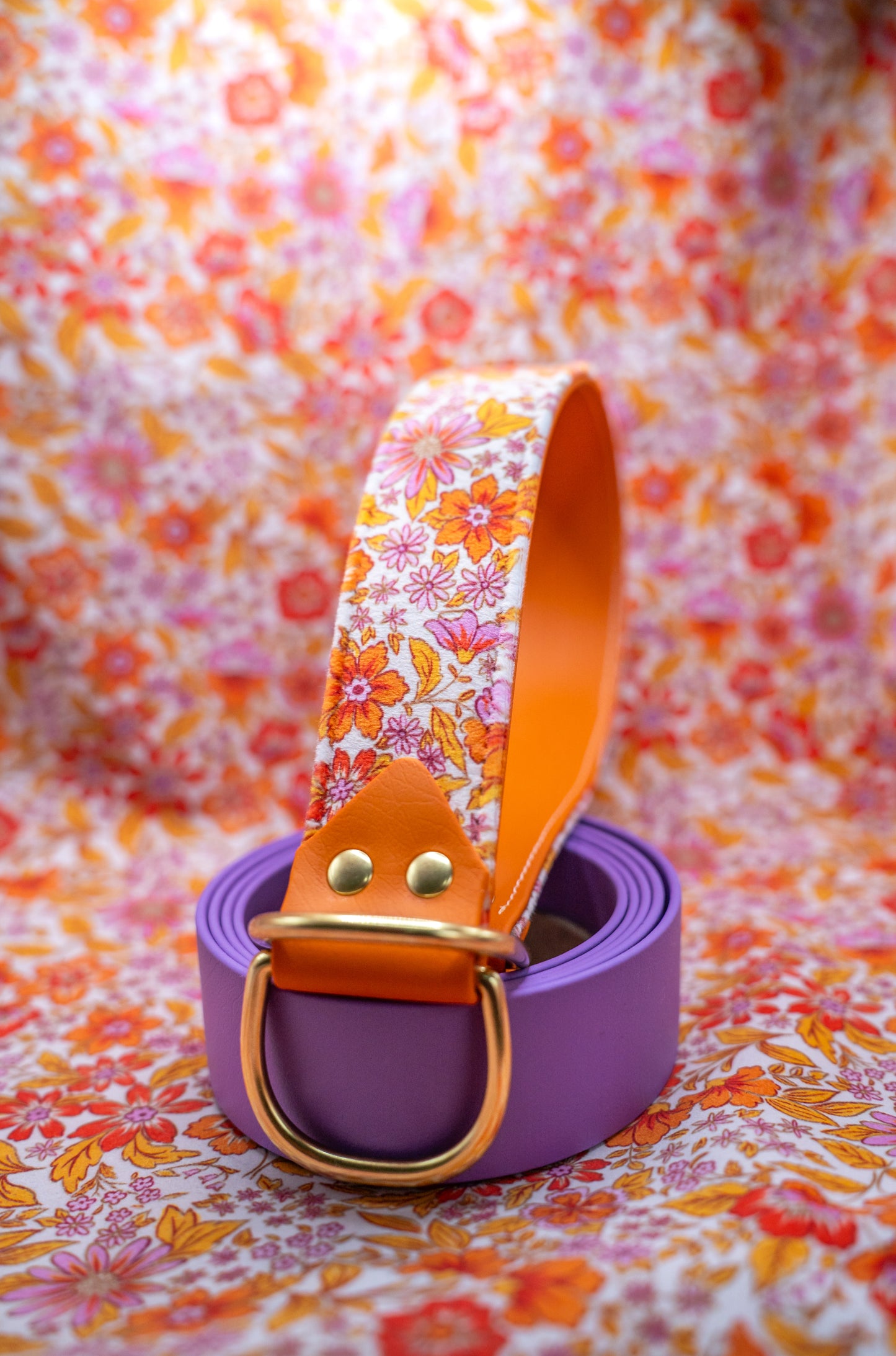 Valencia Velvet Collar