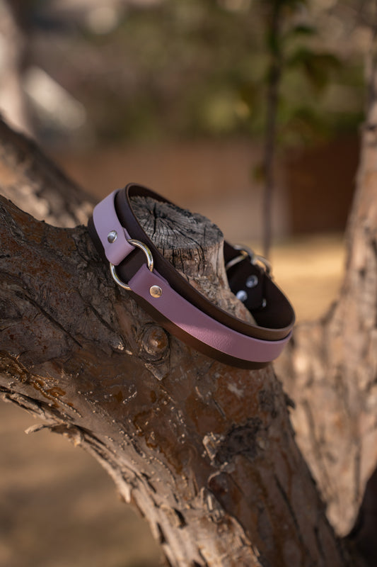 Voyage Collar