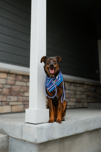 Periwinkle Bandana
