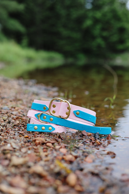 Collar and Leash Bundle