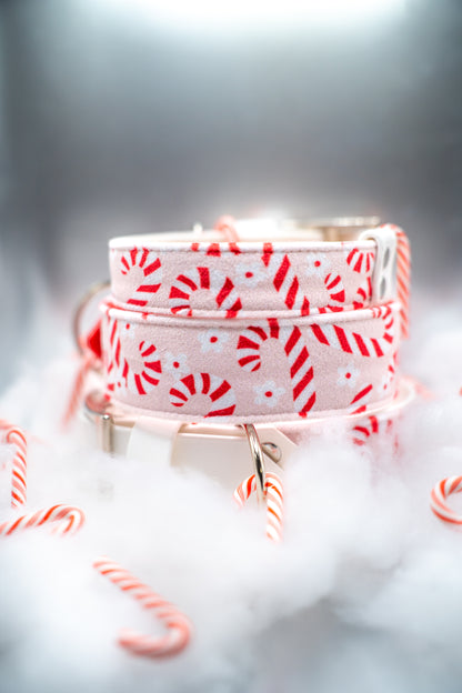 Peppermint Velvet Collar