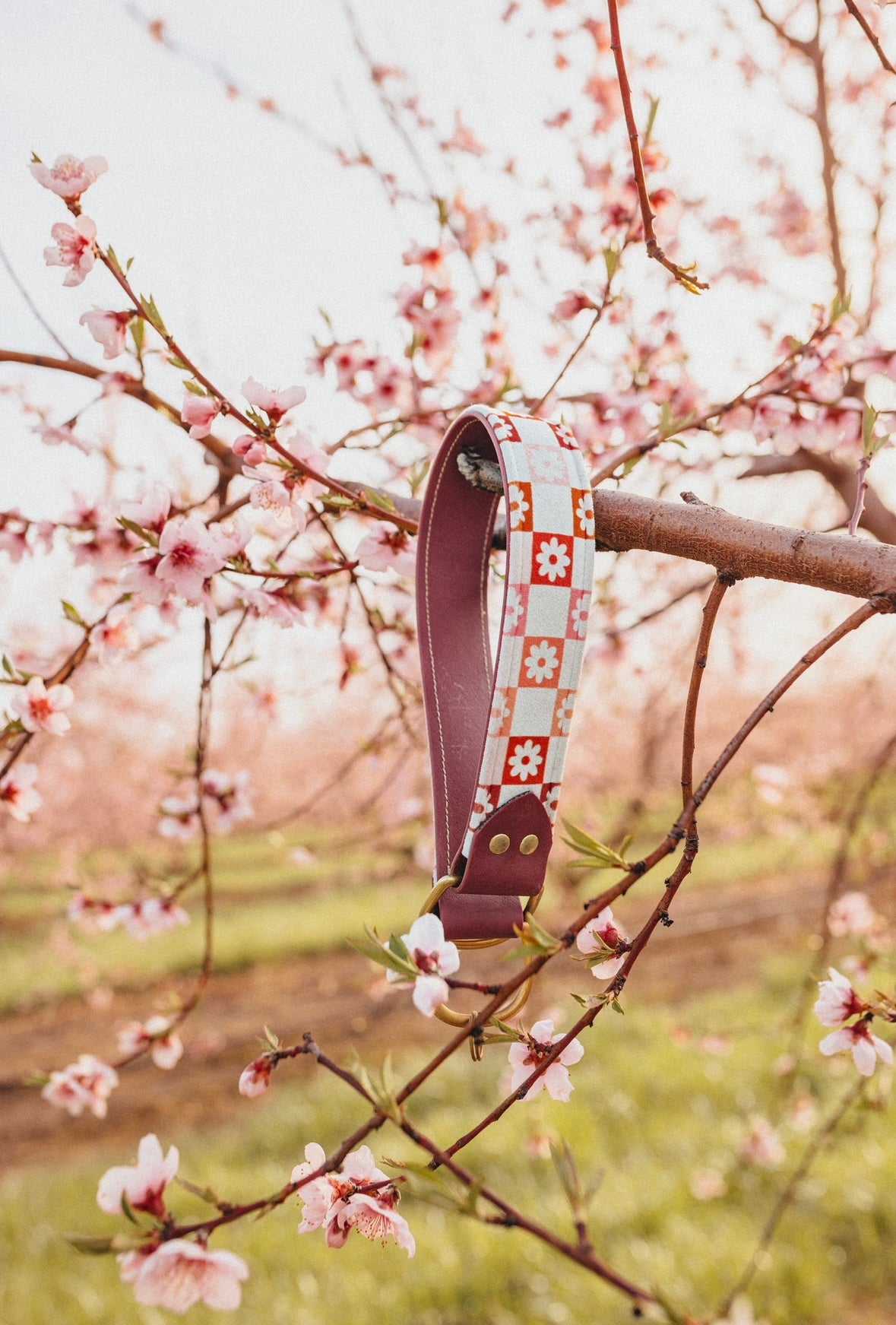 Happy Hippie Velvet Collar