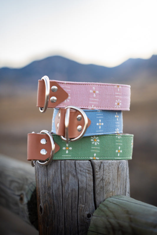 Forest Forage Daisies Collars