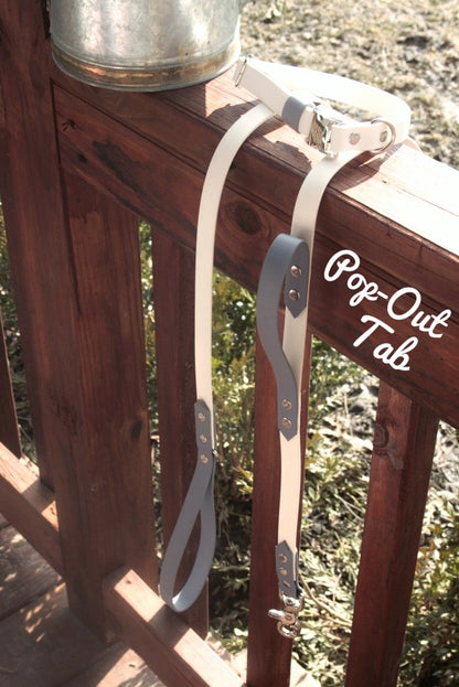 Adventure Leash