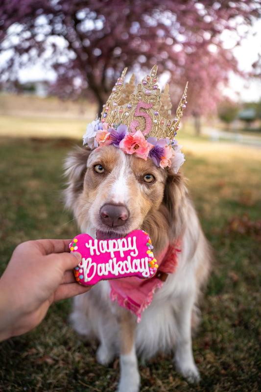 Birthday Flower Crown Numbers