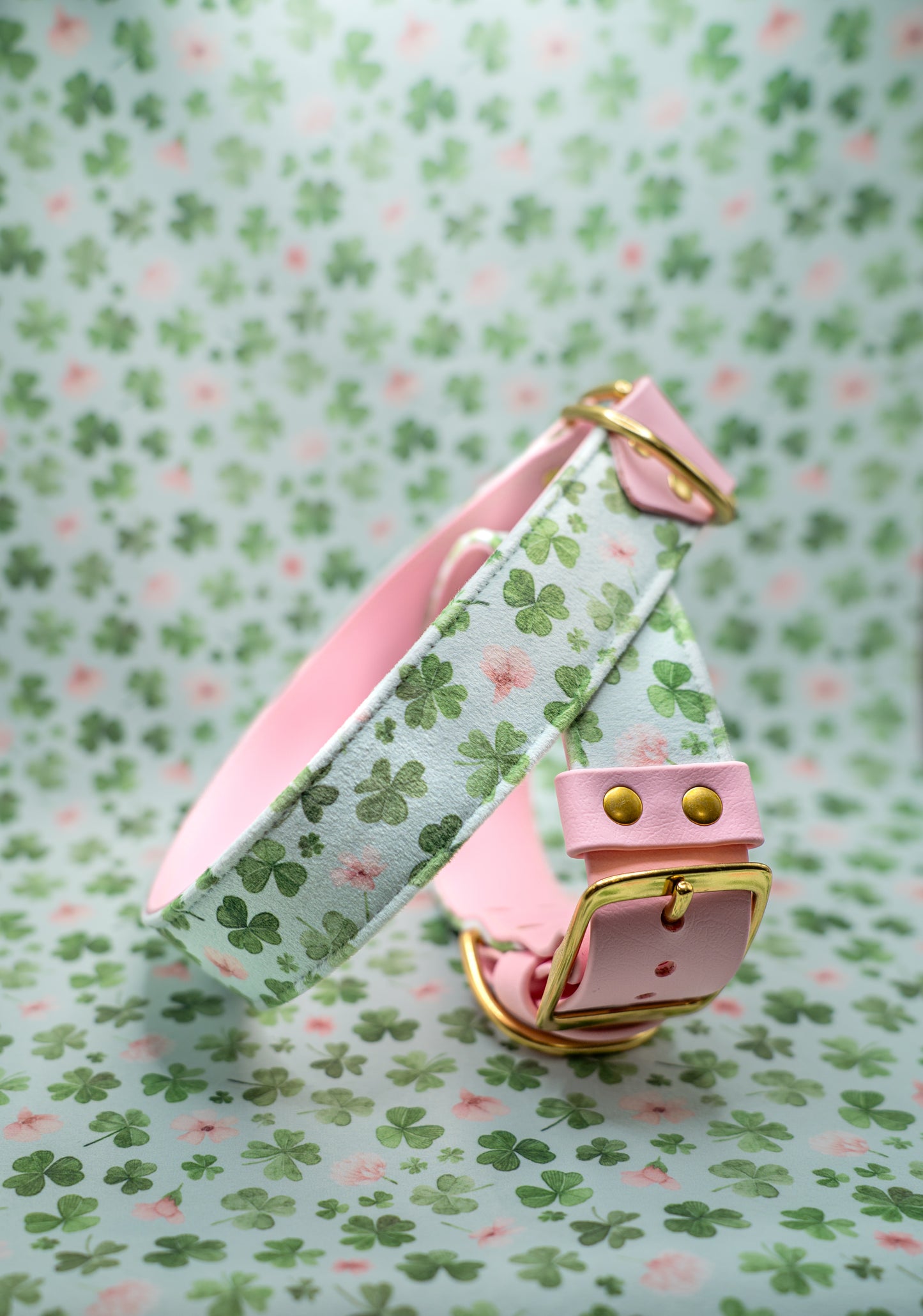 Lucky Charm Velvet Collar