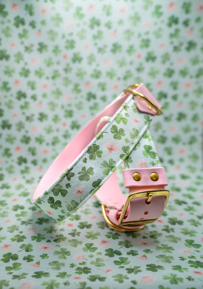 Lucky Charm Velvet Collar
