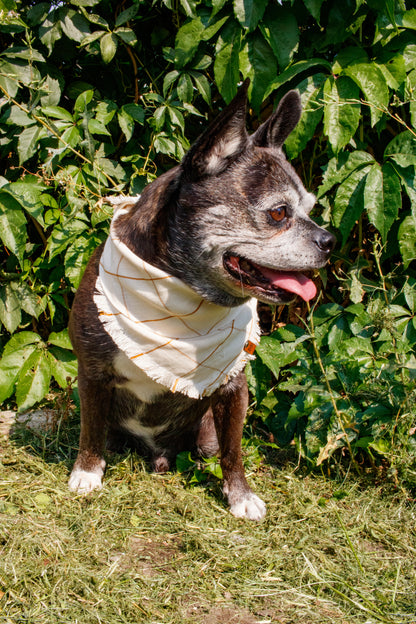 Prost Bandana