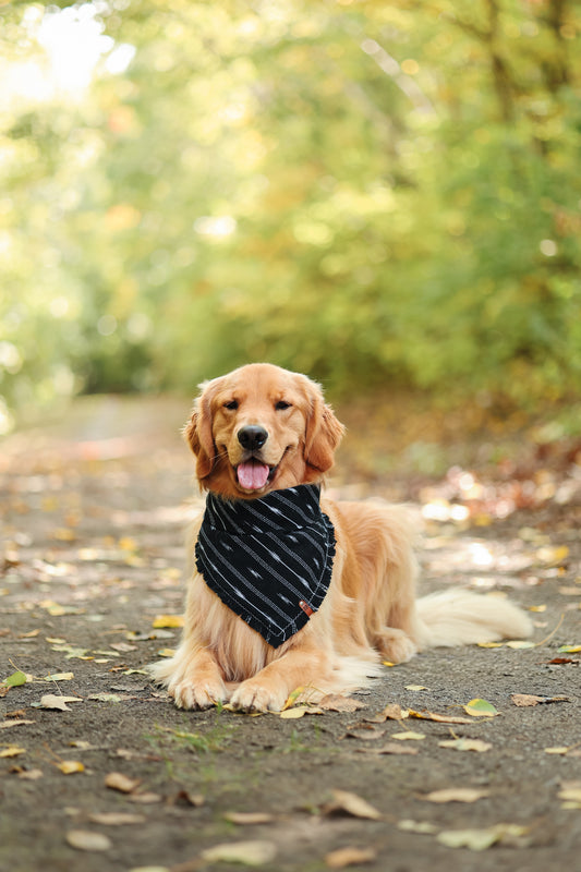 Rayback Bandana