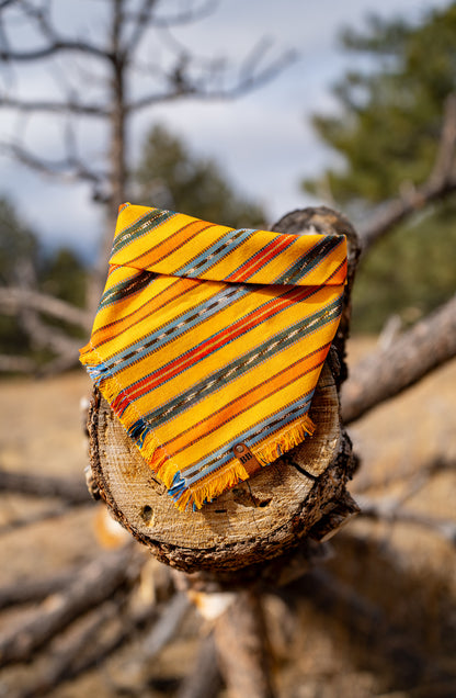 Pineapple Express Bandana