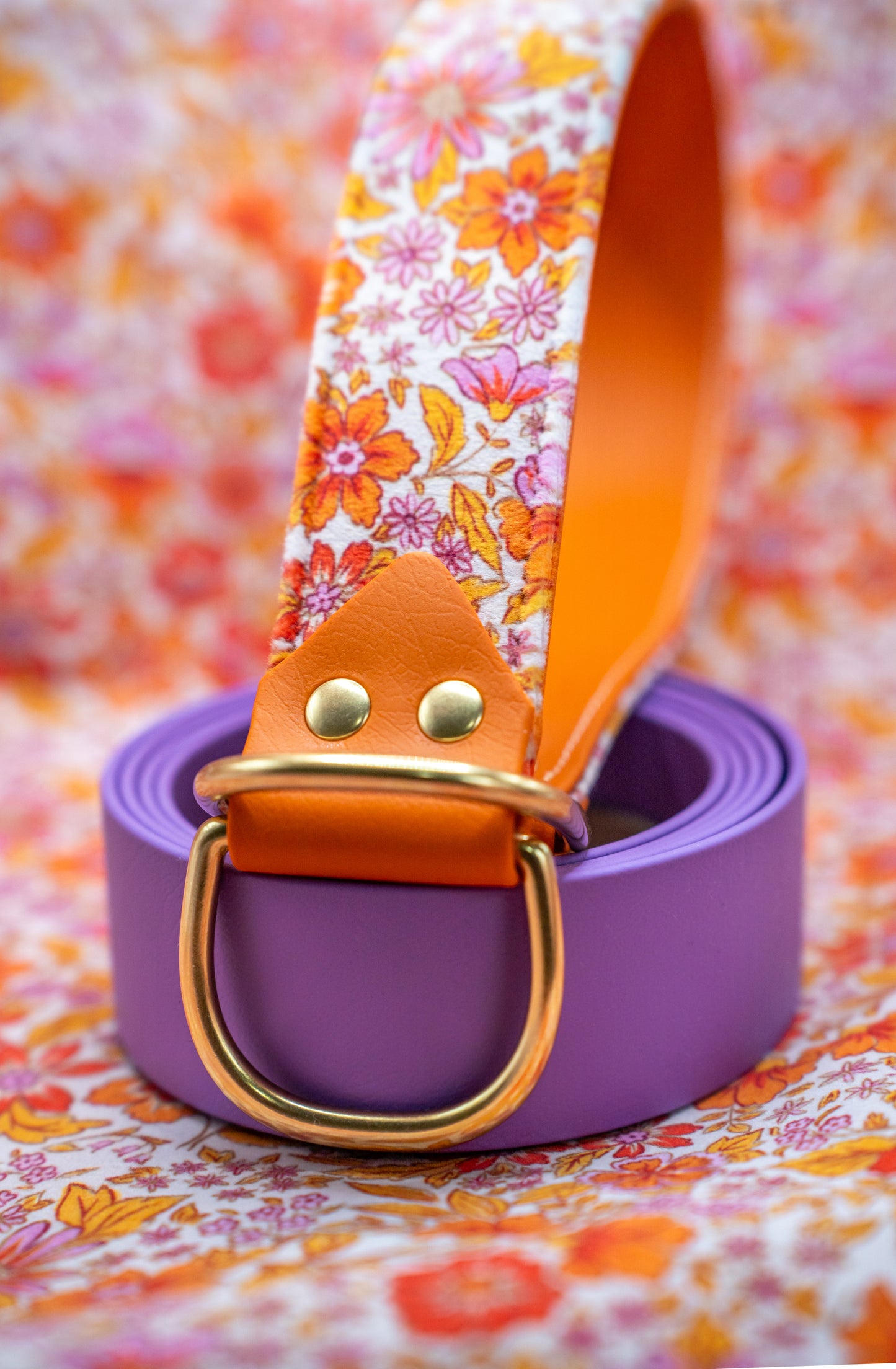 Valencia Velvet Collar