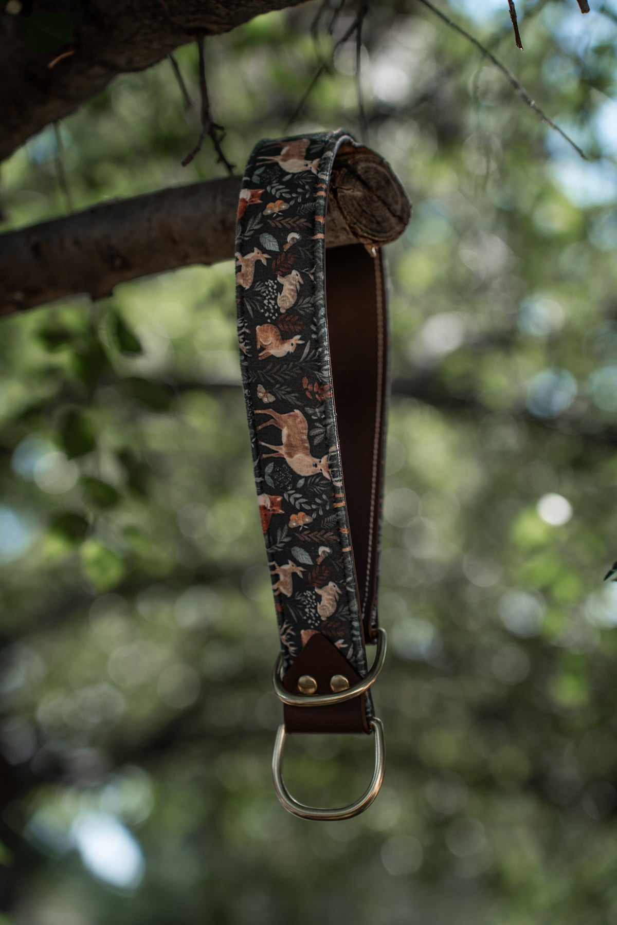 Woodland Velvet Collar