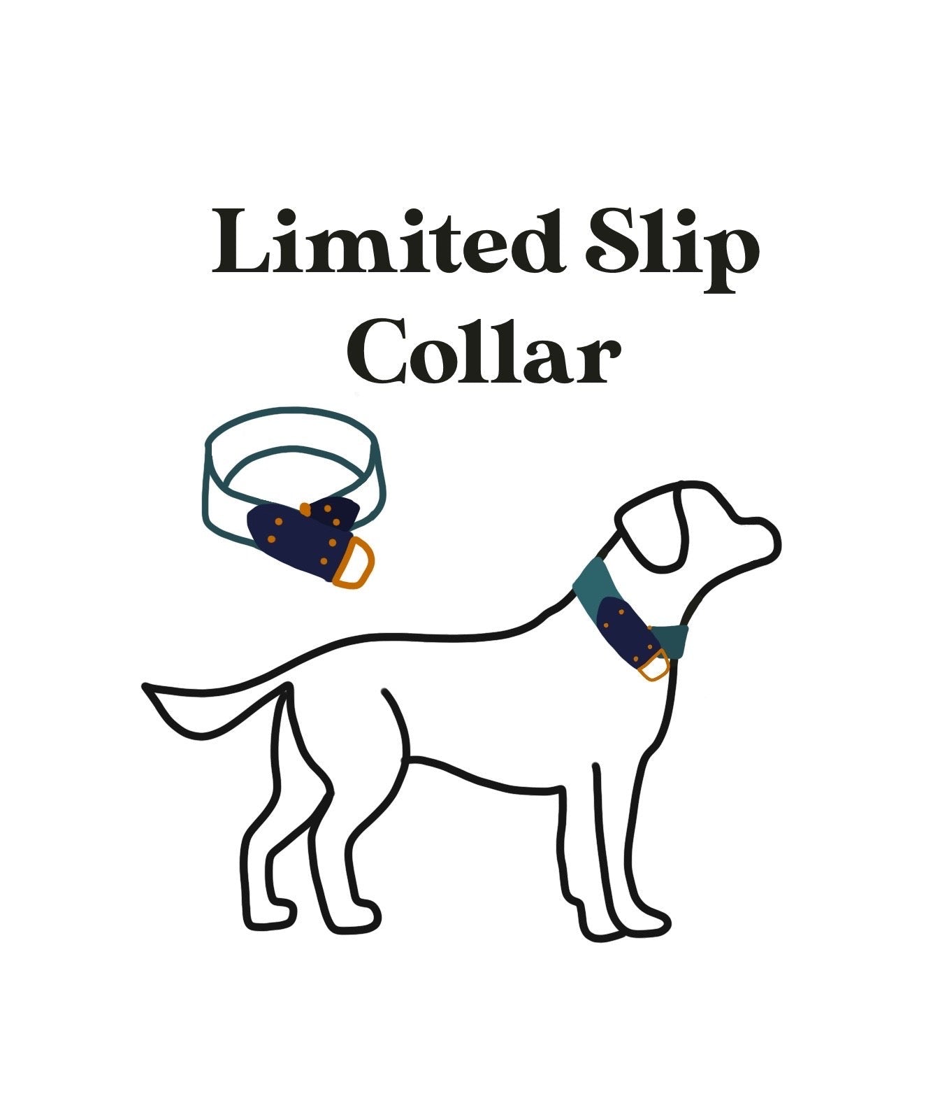 Scout Stripe Pendleton Collar