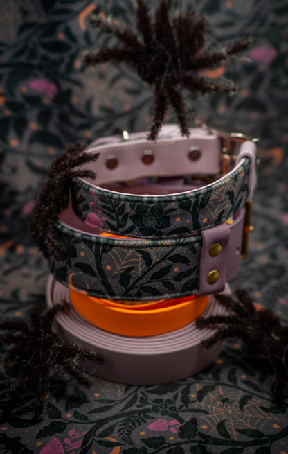 Midnight Magic Velvet Collar