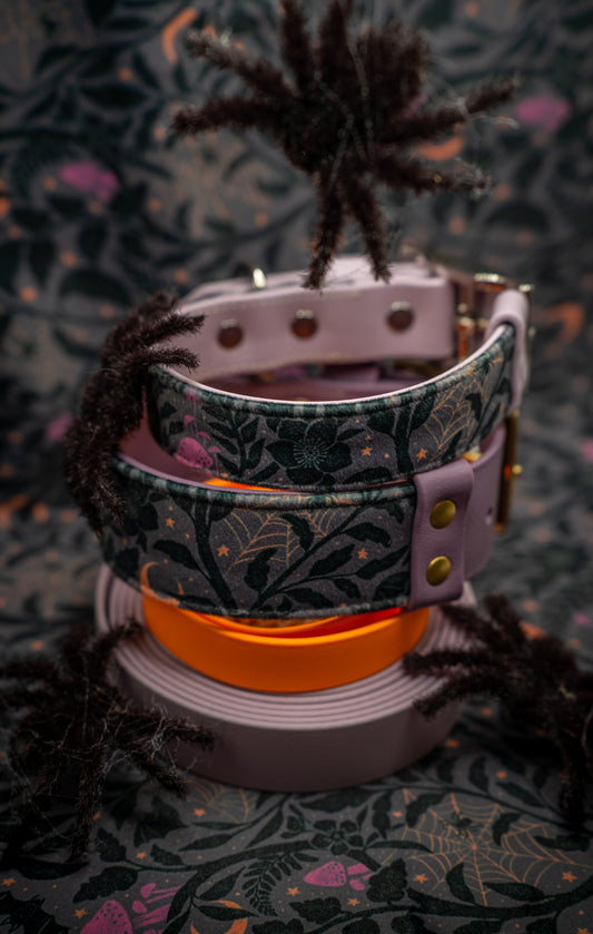 Mystery Halloween Velvet Collar